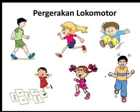 lokomotor|pergerakan lokomotor.